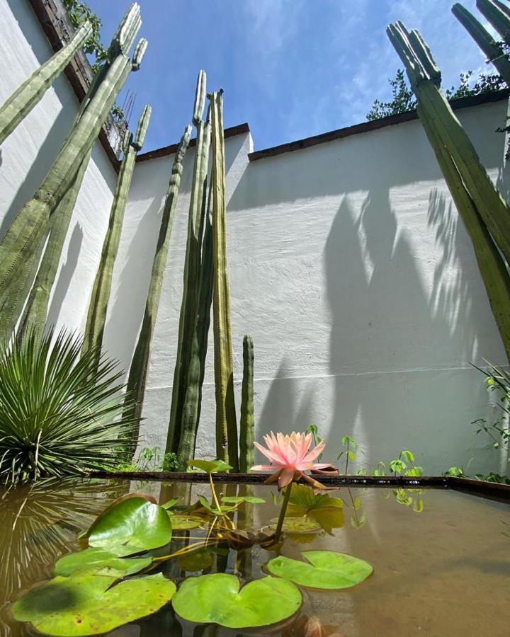 Casa Mayo B&B Oaxaca Esterno foto
